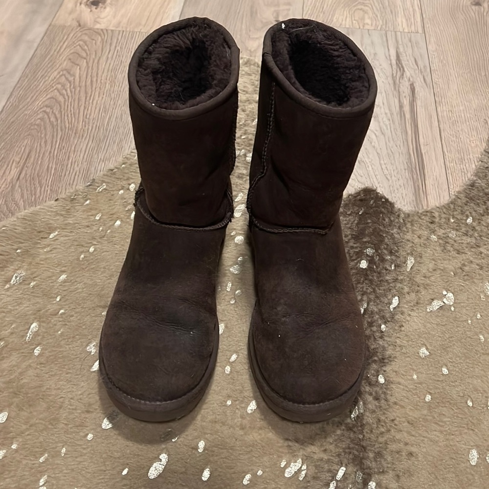 Chocolate short uggs.